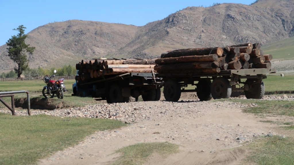 Holztransporter Mongolei